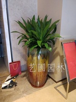 高盆也门铁