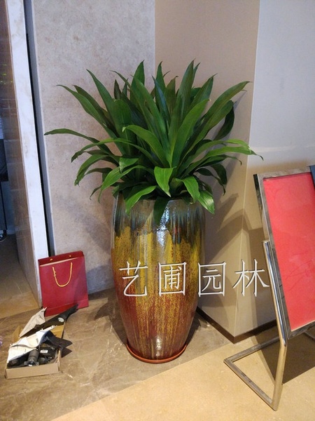 高盆也门铁