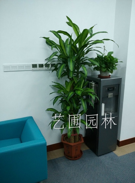 步步高