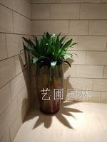 艺圃专属