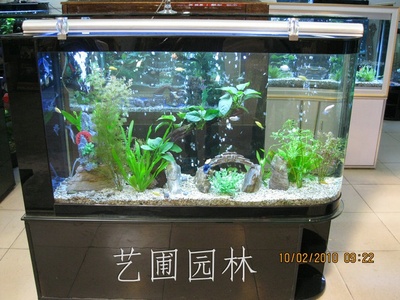 艺圃