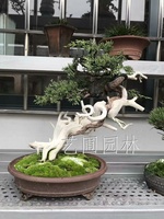 艺圃专属