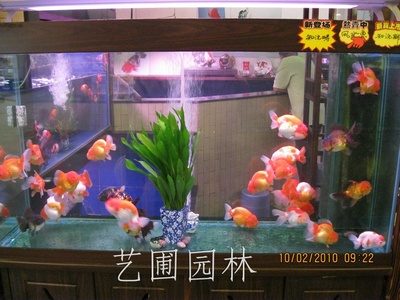 艺圃
