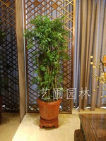 艺圃专属
