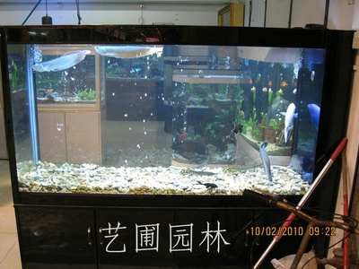 艺圃
