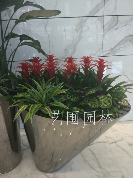 艺圃专属