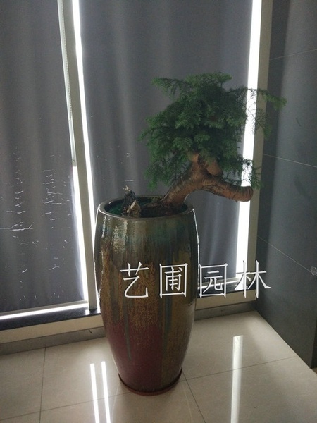 艺圃专属