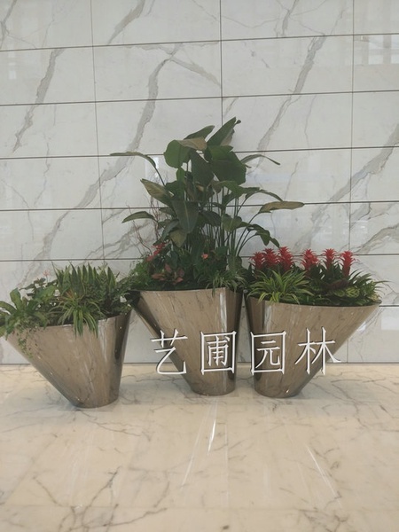 艺圃专属