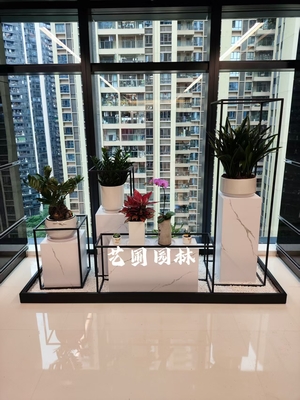 高端花草