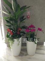 艺圃专属