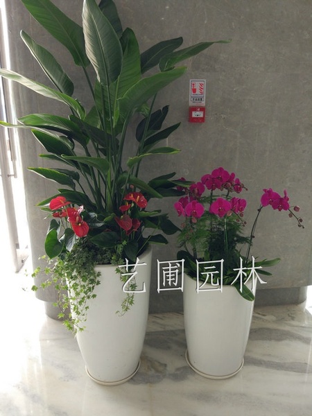 艺圃专属