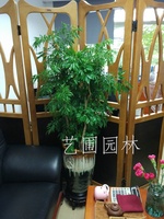 艺圃专属