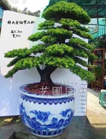 艺圃专属