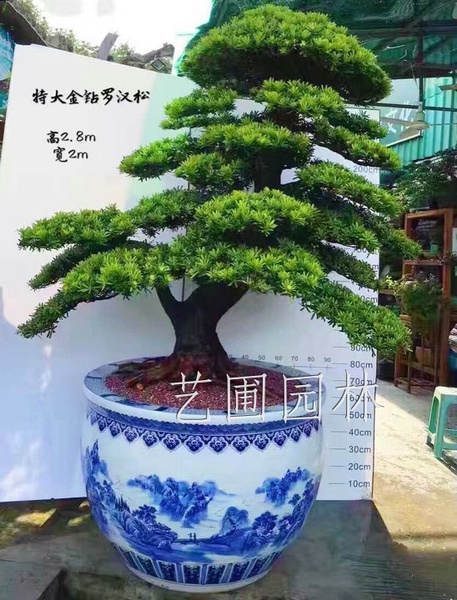 艺圃专属