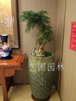 不老松