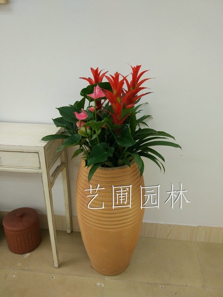 艺圃专属