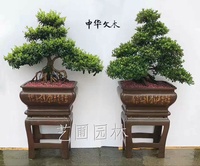 艺圃专属