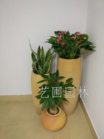 艺圃专属