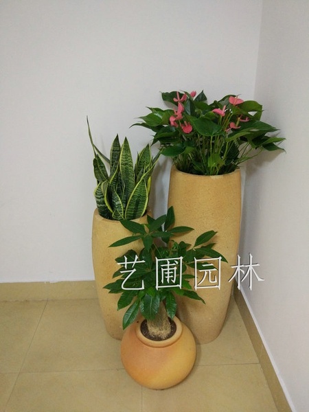 艺圃专属