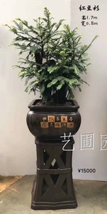 艺圃专属
