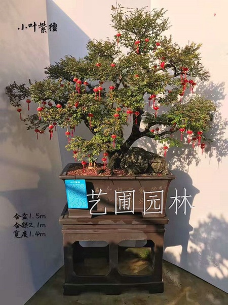 艺圃专属