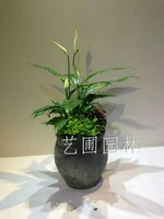一帆风顺组合