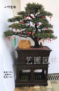艺圃专属