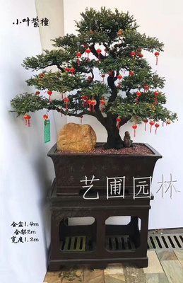 艺圃专属