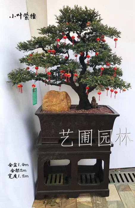 艺圃专属