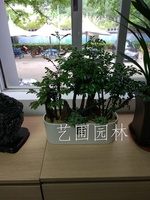 艺圃专属