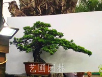 艺圃专属