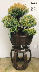 艺圃专属