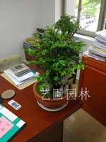 艺圃专属