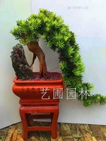 艺圃专属
