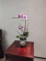 造型兰花