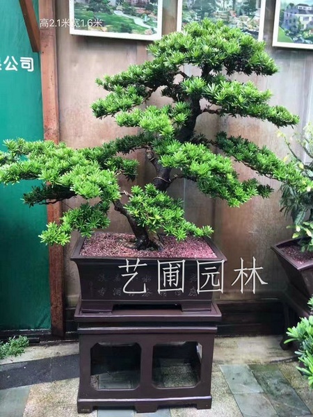 艺圃专属