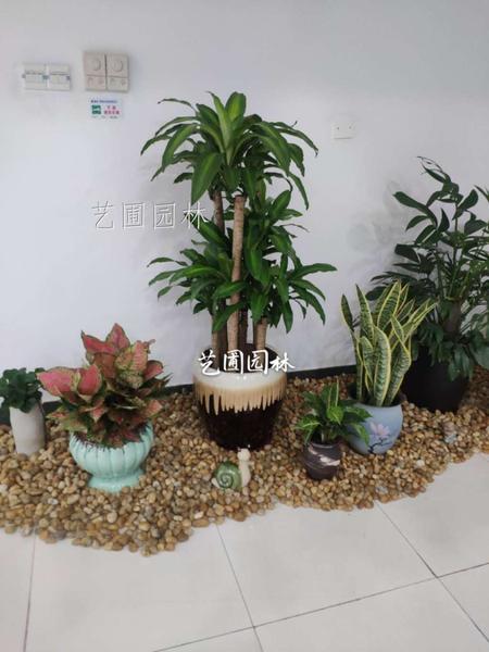 组合布景