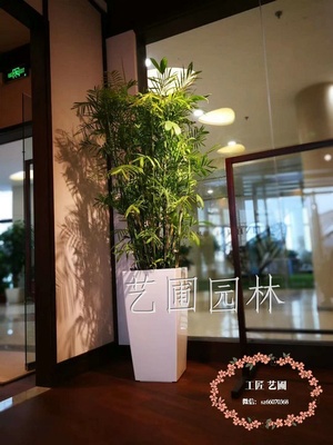 德国花盆展示