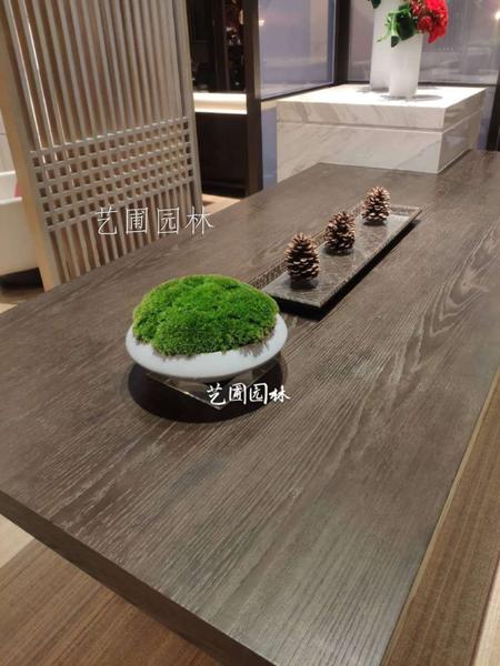 苔藓