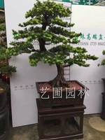 艺圃专属