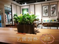 组合花艺