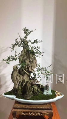 福建茶