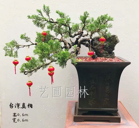 艺圃专属