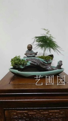 文竹