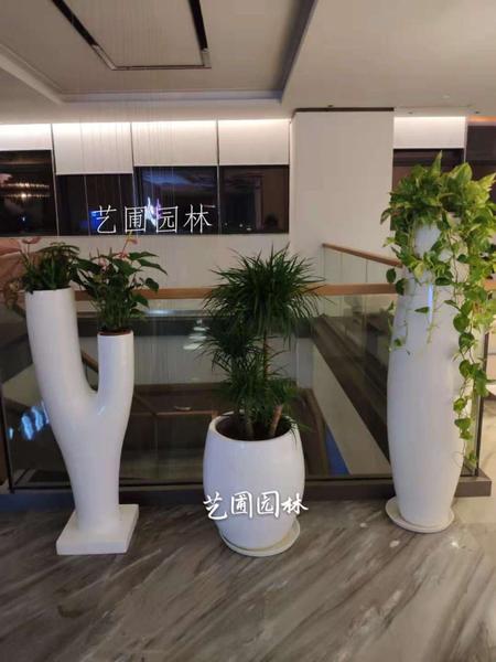 艺术组合