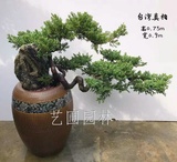 艺圃专属