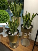 艺圃专属