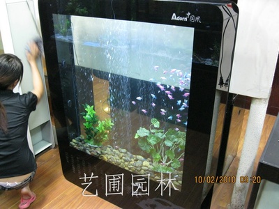 艺圃
