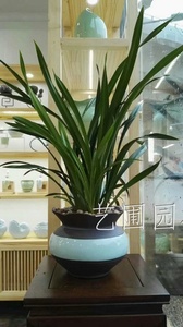 艺圃专属