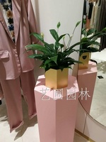 一帆风顺